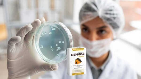 Benaga Chaga prostatitui ir cistitui